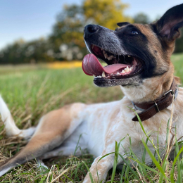 Neyti profile