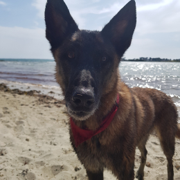 Aloah profile
