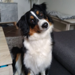 Nala profile
