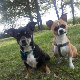 Lissie et spencer profile