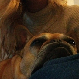 Lucie profile