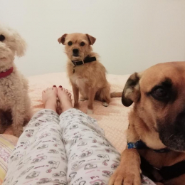 Will - ella - mary profile