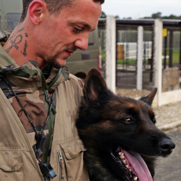 Baco profile