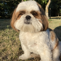 Cloé profile