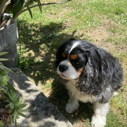 Happy profile
