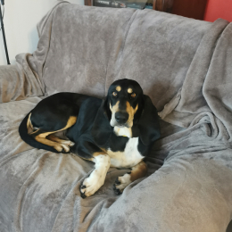 Ithaque dit tactac profile