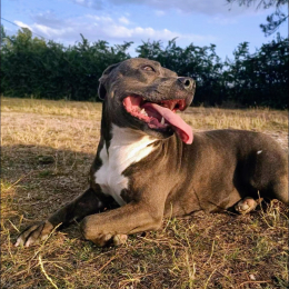 Mariana profile
