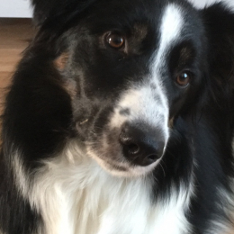 Oxana et aïko profile