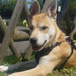 Oscar profile