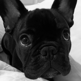 Gus profile