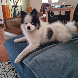 Loufy profile