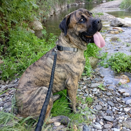 Django profile