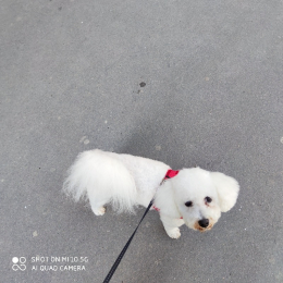 Oslo et pilou profile