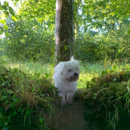 Margot profile