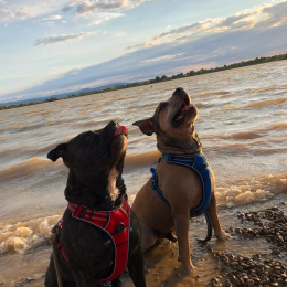 Paco & kayser profile
