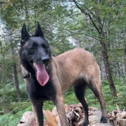 Selka profile