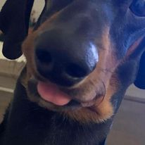 Ettore profile