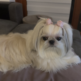 Caroline profile