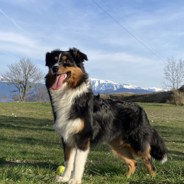Lilo profile