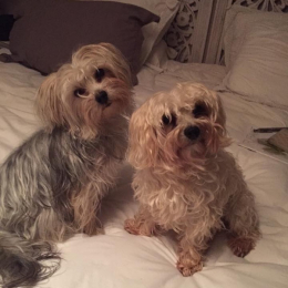 Leeloo et lola profile
