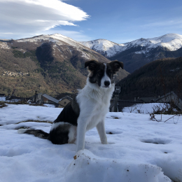 Négan profile