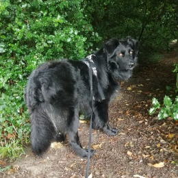 Thaoki profile