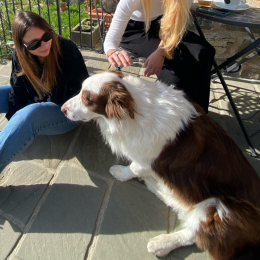 Chiara elisa profile