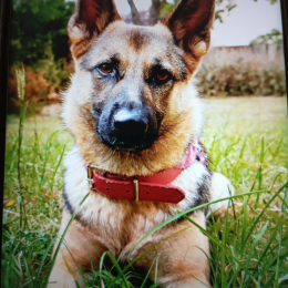Raïna profile