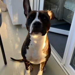 Mila profile