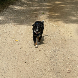 Leelo et emeraude profile