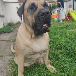 Naska profile