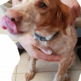 Jita profile