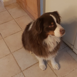 Newton profile