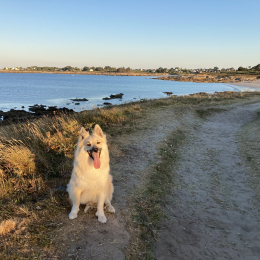 Rouki profile