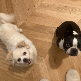 Coco et molo profile