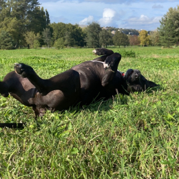 Review of Kelly's profile