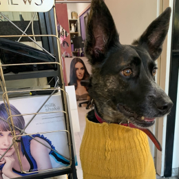 Frida profile