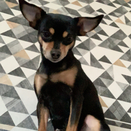 Zoe profile