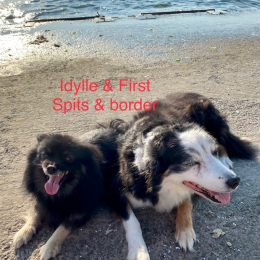 First et idylle profile