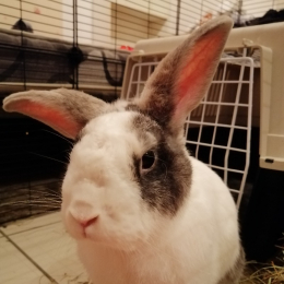 Maddie profile