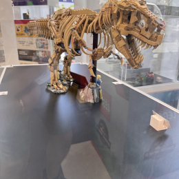 Marie-caroline profile