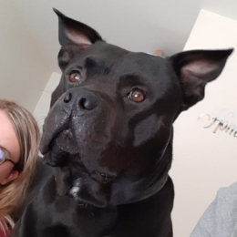 Happy profile