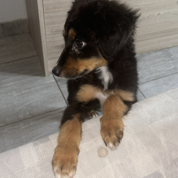 Spayk profile