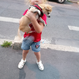 Cool e coline profile