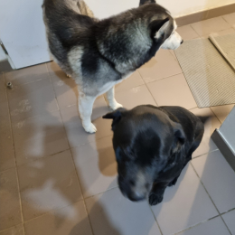 Ivory et xander profile