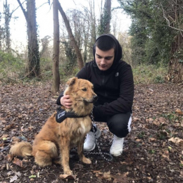 Eliott profile
