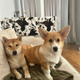 Rosie et tiana profile