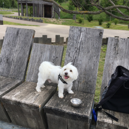 Milo profile
