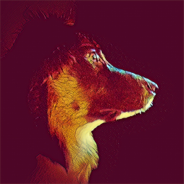 Roxy profile