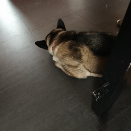 Yuki profile